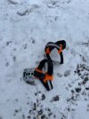 IMG_3814.jpeg