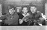 theydrivebynight1940.720.jpg