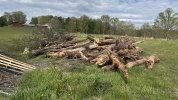 IMG_2435.jpeg
