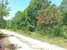 IMG_20260513_124510_682 (2).jpg IMG_20260513_124510_682 (2).jpg