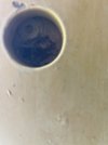 IMG_5285.jpeg IMG_5285.jpeg