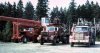 MB Trucks and Spar.jpg