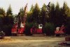 logging trucks 113.jpg