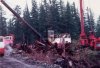 logging trucks 025.jpg