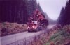 logging trucks 135.jpg