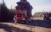 logging trucks 139.jpg