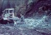 logging trucks 011.jpg