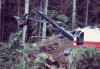 logging trucks 015.jpg