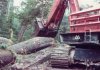 logging trucks 008.jpg