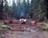 logging trucks 017.jpg