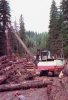 logging trucks 028.jpg