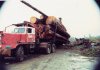 logging trucks 056.jpg