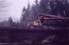 logging trucks 137.jpg