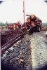 logging trucks 032.jpg