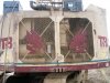 TSY255 A1-4.jpg