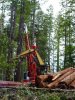 DSC00527.jpg