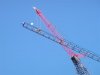 tower crane 007 (Small).jpg