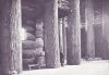 forestry building columns.jpg