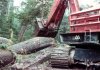 logging trucks 0081.jpg