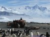 Antarctic D4 .jpg
