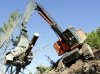 Steep Slope Harvester ClimbMax.jpg