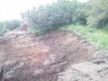 2013-07-29 13.12.49.jpg