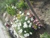 2013-09-03 15.52.22.jpg