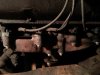 20131221_184135.jpg