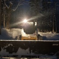 Boreal