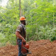 Bearded logger