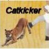 catkicker