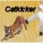 catkicker